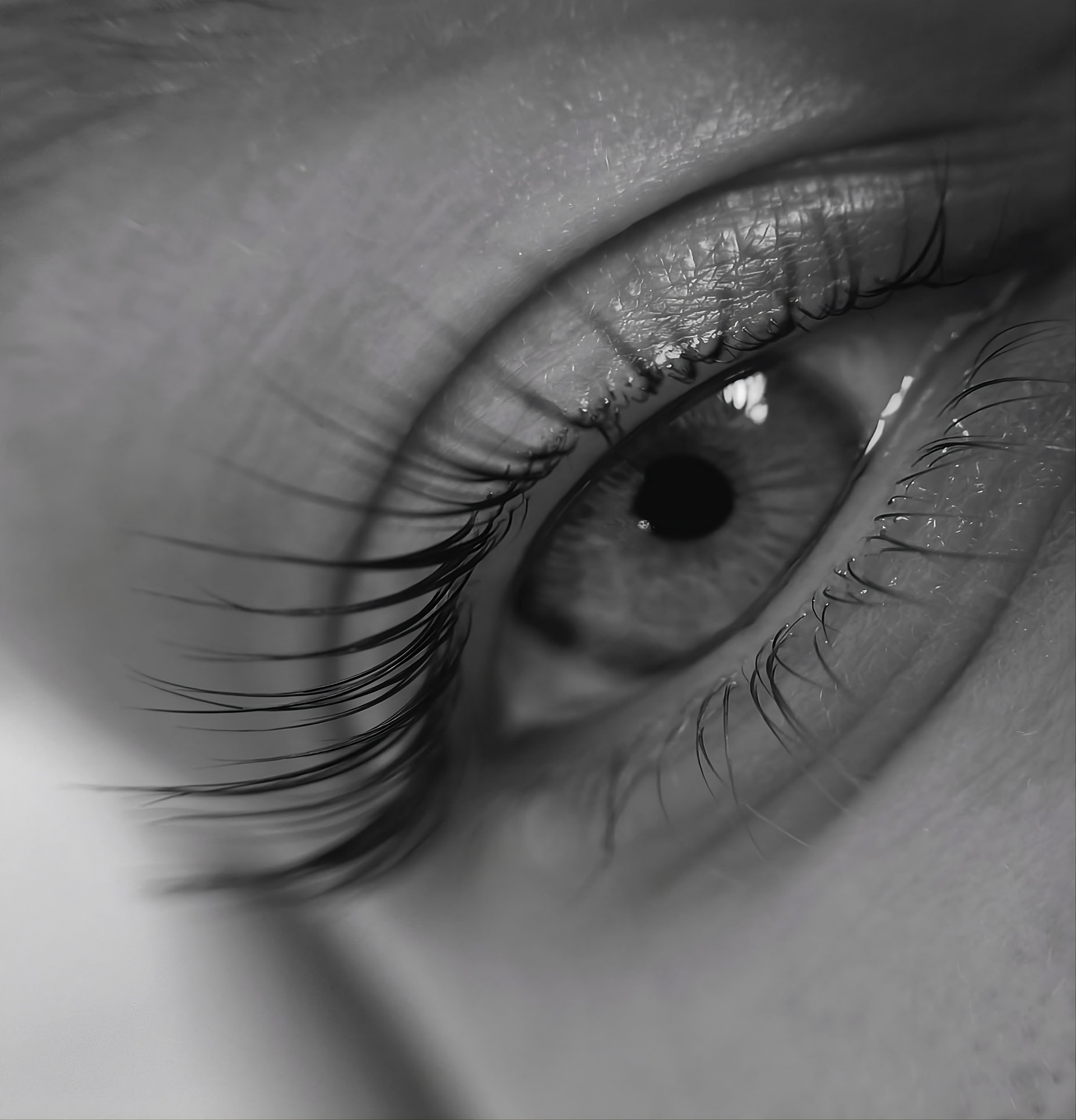 MASHA Lash & Brow