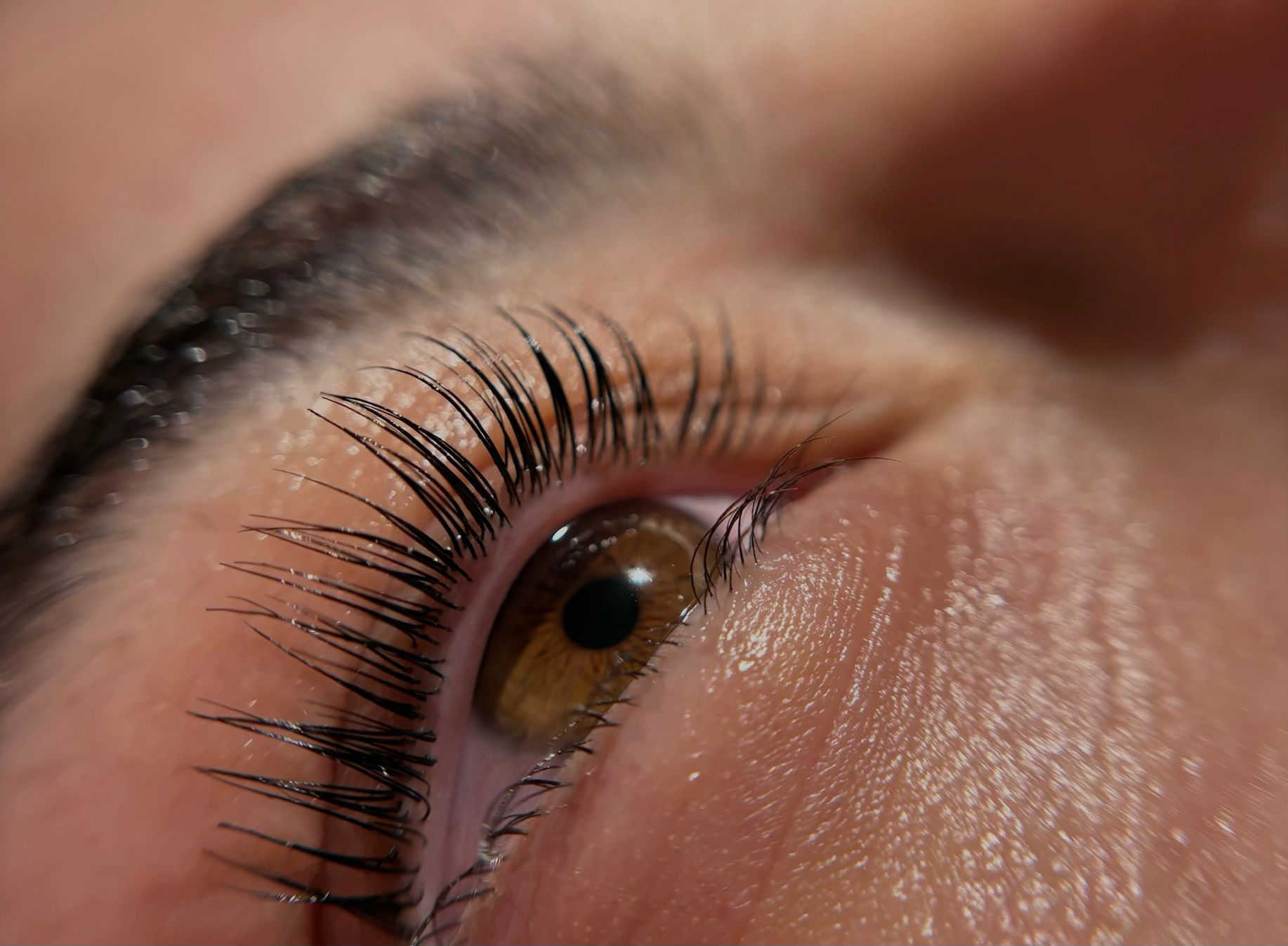 Lash & Brow tretman